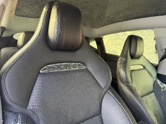 Tesla Model Y 83 kWh Performance 346KW AWD Pano Clima Navi Sfeerverlichting NAP picture 8