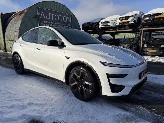 Avarii autoturisme Tesla Model Y 83 kWh Performance 346KW AWD Pano Clima Navi Sfeerverlichting NAP 2025/9