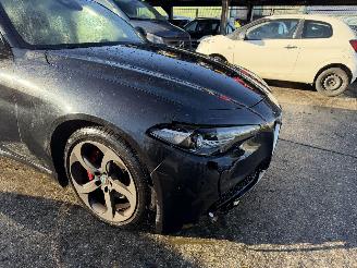 Alfa Romeo Giulia 2.2D 110KW Autom. Clima Navi Leer Super Led picture 10