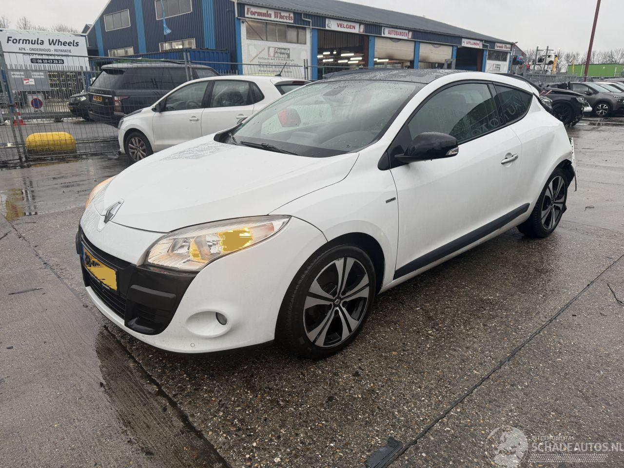 Renault Mégane Coupe 1.4 TCE 96KW Bose Pano Clima Navi NAP