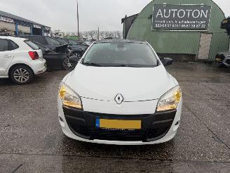 Renault Mégane Coupe 1.4 TCE 96KW Bose Pano Clima Navi NAP picture 3