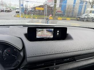Mazda MX-30 36 kWh 107KW e-Skyactiv Comfort Clima Navi Led HUD NAP picture 10