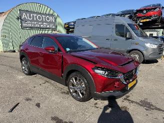 uszkodzony samochody osobowe Mazda CX-30 2.0 e-SkyActiv-X Autom. 137KW M Hybrid Luxury Clima Navi Led NAP 2022/1