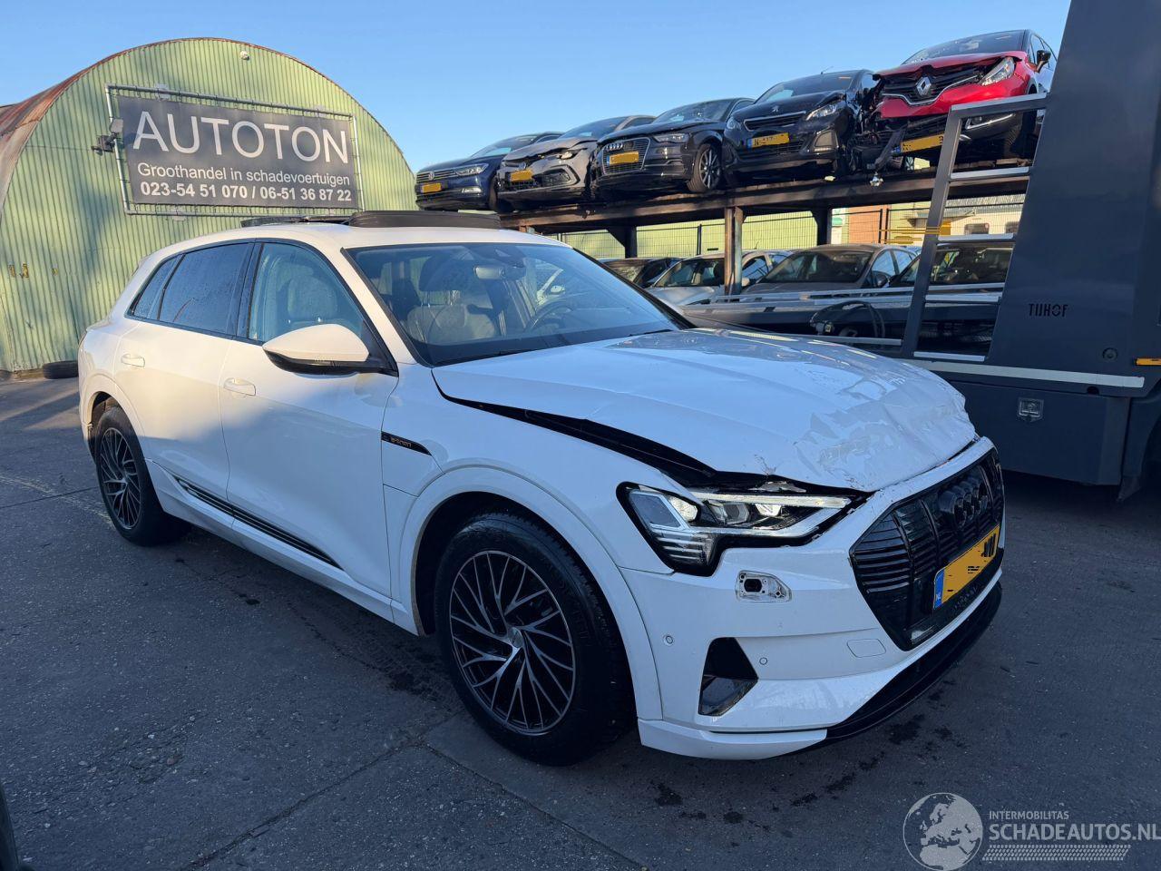 Audi E-tron 55 95 kWh 300KW Quattro Advanced Pano Clima Navi Led Xenon