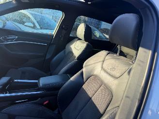 Audi E-tron 55 95 kWh 300KW Quattro Advanced Pano Clima Navi Led Xenon picture 12