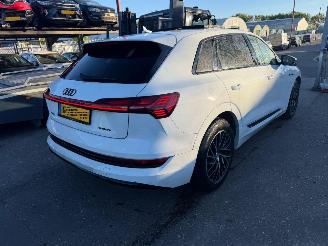 Audi E-tron 55 95 kWh 300KW Quattro Advanced Pano Clima Navi Led Xenon picture 5