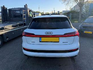 Audi E-tron 55 95 kWh 300KW Quattro Advanced Pano Clima Navi Led Xenon picture 4