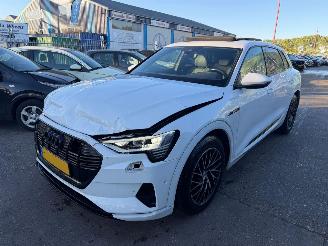 Audi E-tron 55 95 kWh 300KW Quattro Advanced Pano Clima Navi Led Xenon picture 2
