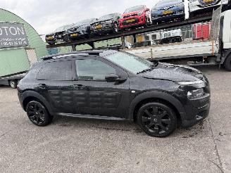 Citroën C4 cactus 1.2 e-VTI Autom. 60KW Pano Clima Navi Camera Led Business NAP picture 2