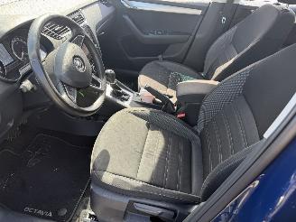 Skoda Octavia 1.6 TDI 85KW DSG Clima Navi Camera Greentech Ambition Business NAP picture 13