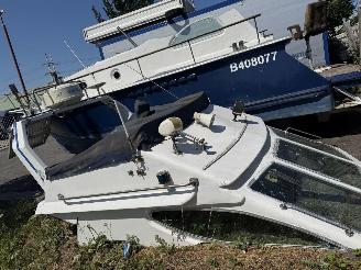 Volvo  Vetus boot picture 22