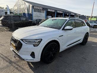 škoda osobní automobily Audi E-tron 55 Quattro 95 kWh 408PK Pano Clima Navi Advanced Pro HUD 2019/12