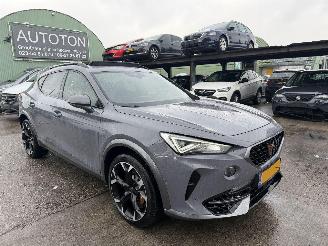 Coche accidentado Cupra Formentor 2.0 TSI 310PK 4Drive VZ Pano Clima Navi Camera 2021/12