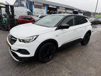 Coche accidentado Opel Grandland X 1.2 Turbo 96KW Autom. Clima Navi Camera 2021/3