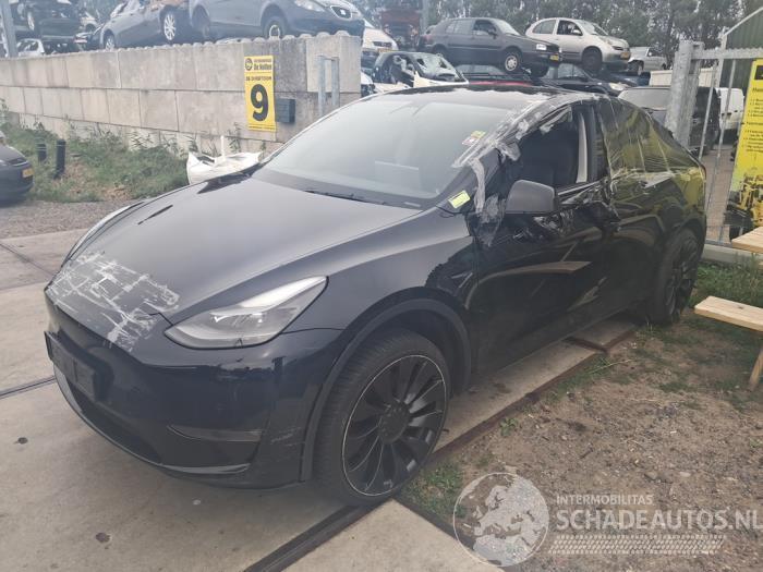 Tesla Model Y Model Y (5YJY), SUV, 2019 / 2025 Long Range,Performance