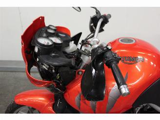 Triumph Tiger  picture 8