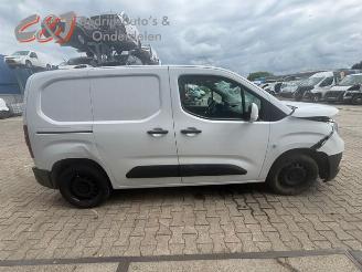Opel Combo Combo Cargo, Van, 2018 1.5 CDTI 100 picture 10