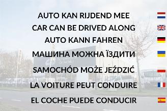 Fiat Doblo Fiat Doblò Cargo 1.4 T-Jet Natural Power L2H1 Maxi picture 10