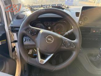 Opel Combo Combo Cargo, Van, 2018 1.5 CDTI 130 picture 22