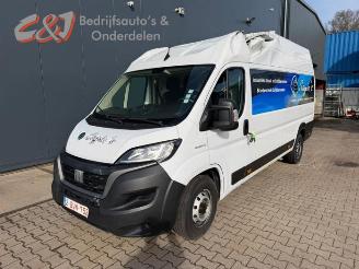 Auto da rottamare Fiat Ducato Ducato (250), Van, 2006 2.2 D 140 Multijet 3 2022/1