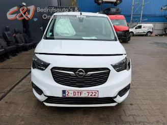 Opel Combo Combo Cargo, Van, 2018 1.5 CDTI 100 picture 9