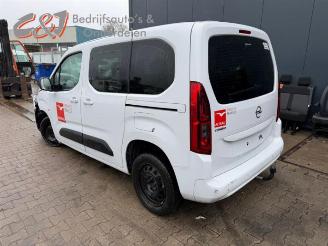Opel Combo Combo Cargo, Van, 2018 1.5 CDTI 100 picture 4
