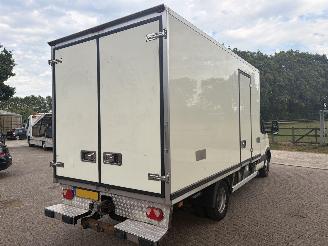 Iveco Daily Koelwagen met luchtvering picture 5