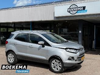 Auto incidentate Ford EcoSport 1.0 EcoBoost Trend Airco TomTom PDC 2017/12