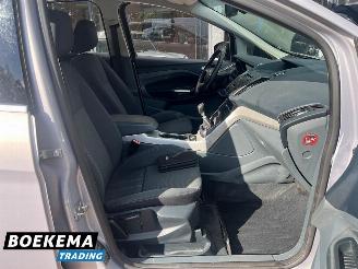 Ford C-Max 1.6 SCTi Titanium Climate Cruise PDC Trekh. picture 13