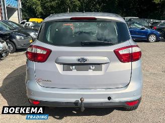Ford C-Max 1.6 SCTi Titanium Climate Cruise PDC Trekh. picture 6