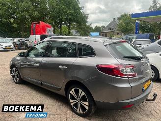 Renault Mégane Estate 2.0 Bose Clima Cruise Trekhaak picture 3