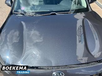 Kia Niro 1.6 GDi Hybrid Dynamic Navi Cruise picture 12