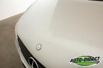 Mercedes Vito 111 CDI 9 persoons Airco picture 39