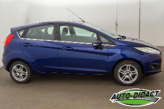 Ford Fiesta 1.0 EcoBoost Clima Navi Titanium picture 39