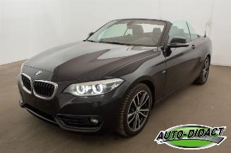 krockskadad bil auto BMW 2-serie 218i Cabrio Clima Navi CARPAS 2017/8