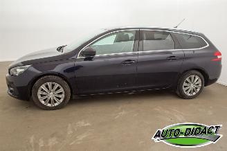 Peugeot 308 1.6 BlueHDi Clima Navi Camera Feline picture 41