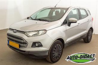  Ford EcoSport 1.0 EcoBoost Trend 2017/3
