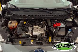 Ford Tourneo Courier 1.0 Titanium 5p Clima Carpas picture 30