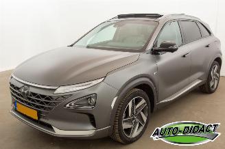Damaged car Hyundai Nexo FCEV Plus Pack 107.881 km Pano Clima Leder 2019/7