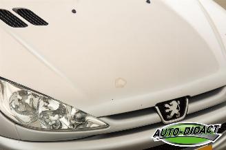 Peugeot 206 CC 1.6-16V 98.259 km Clima Quiksilver picture 26