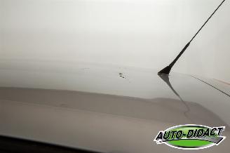 Volkswagen Polo 1.4-16V Automaat Airco Optive picture 24