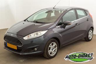 skadebil auto Ford Fiesta 1.6 TDCi Clima Lease Titanium 2014/5