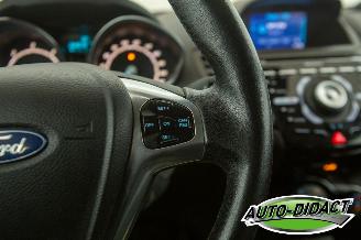 Ford Fiesta 1.6 TDCi Clima Lease Titanium picture 14