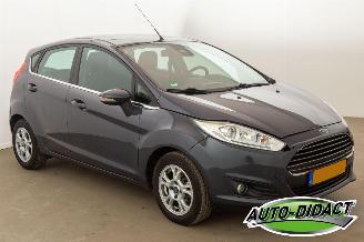 Ford Fiesta 1.6 TDCi Clima Lease Titanium picture 2