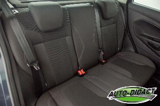 Ford Fiesta 1.6 TDCi Clima Lease Titanium picture 20