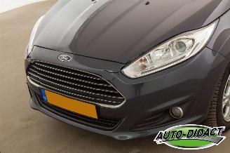 Ford Fiesta 1.6 TDCi Clima Lease Titanium picture 30