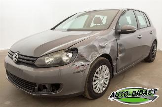 škoda osobní automobily Volkswagen Golf 1.6 TDI BlueMotion Clima 2010/4