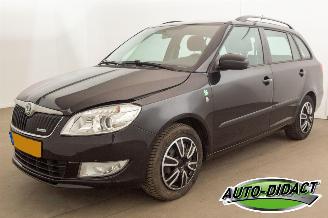 Damaged car Skoda Fabia 1.2 TDI Greenline Airco 2011/6