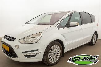 Schadeauto Ford S-Max 2.0 EcoBoost Automaat 7pers Clima Titanium 2010/8