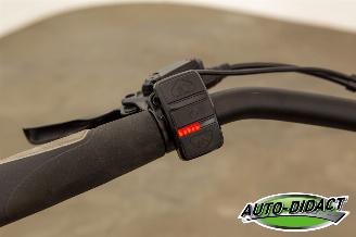 Stella  Fiore picture 8